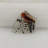 50.87 - Carat Montana Agate - Yellowstone River Natural Picture Stone