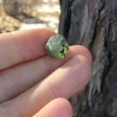 Unheated Montana Sapphire Facet Rough 18.26 Carats