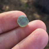  Unheated Natural Montana Sapphire Rough 6.73 Carats