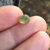 Unheated Natural Montana Sapphire Rough 3.71 Carats