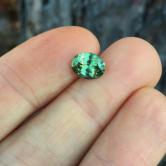 Large And Unheated Natural Green Montana Sapphire 2.18 Carats