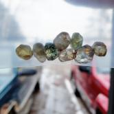 Hand Select Unheated Natural Montana Sapphire Rough 44.22 Carats