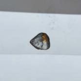 American Gem Natural Montana Sapphire Rough Flat 3.20 Carats