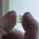 American Gem Natural Montana Sapphire Rough Flat 4.03 Carats