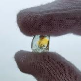 American Gem Natural Montana Sapphire Rough 5.28 Carats