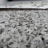 Natural Montana Sapphire Flat Cut 1.33 Carats