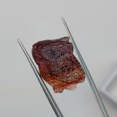 Natural Multi-Color Banded Tourmaline Hand-Carved Koi Fish 13.50 Carats