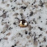 Natural Yellow Montana Sapphire Rose Cut  0.59 Carats