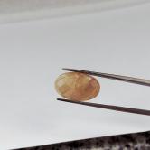 Natural Yellow Montana Sapphire Rose Cut 11.35 Carats