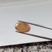 Natural Yellow Montana Sapphire Rose Cut 11.35 Carats