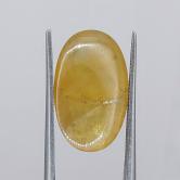 Natural Yellow Montana Sapphire Rose Cut 11.35 Carats