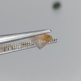 Natural Montana Sapphire 0.93 Carats 