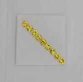 Bright and Pretty Yellow Montana Sapphire Suite 2.36 Carats
