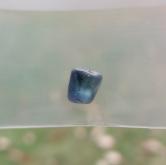 American Gem Natural Montana Sapphire Rough 2.54 Carats