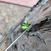 Fine Quality Bright and Pretty Arizona Peridot 2.81 Carats