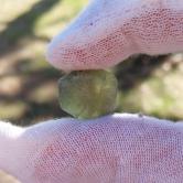 Unheated Natural Montana Sapphire Crystal Specimen 30.75 Carats 