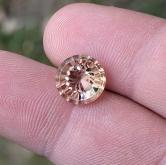 Well Faceted Spider Cut Ametrine Gemstone 3.67 Carats