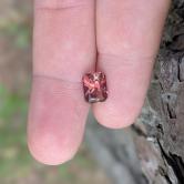 USA Cut Cranberry Red Tourmaline Nigeria 2.27 Carat