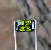 Pretty Green Tourmaline Mozambique 2.78 Carats