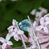 Moody Green Blue Montana Sapphire Sapphire 1.10 Carats