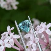 Moody Green Blue Montana Sapphire Sapphire 1.10 Carats