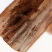 Natural Moroccan Aragonite Specimen 22.64 Carats