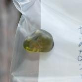 Clean Peridot Facet Rough Arizona 10.74 ct 