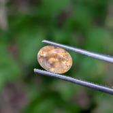 Well Cut Orange Yolk  Montana Sapphire – 1.18 Carats