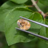 Well Cut Orange Yolk  Montana Sapphire – 1.18 Carats