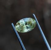 Moody Yellow Montana Sapphire 1.44 Carats