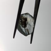 American Gem Natural Montana Sapphire Rough 7.82 Carats