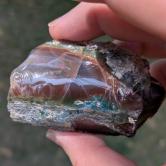 Virgin Valley Nevada Opal Specimen 87.5 Grams 