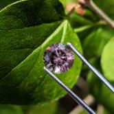 Pink Orange Green Tri-Color Tourmaline 1.15 Carats