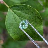 Natural  Mint Green Tourmaline  Afghanistan 1.02 Carats