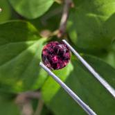 Pretty Nigerian Cranberry Tourmaline 1.16 Carats