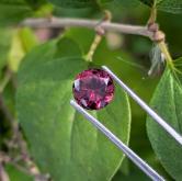 Pretty Nigerian Cranberry Tourmaline 1.16 Carats