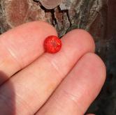 Fine Color and Cut Faceted Orange Mexican Fire Opal 1.54 Carats