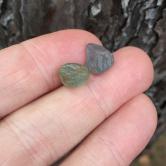 Hand Select Natural Montana Sapphire Facet Rough 11.03 Carats